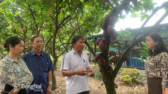 Nông dân đóng góp hơn 18 ngàn ngày công