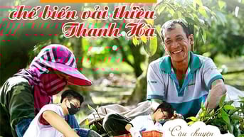 Giải bài toán chế biến vải thiều Thanh Hà