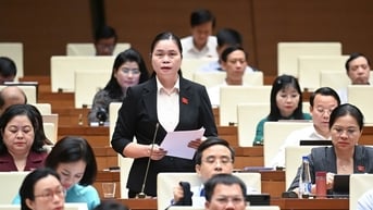 Đại biểu Quốc hội đề nghị các giải pháp phát triển du lịch thành ngành kinh tế mũi nhọn, đóng góp vào mục tiêu tăng trưởng GDP trên 8%