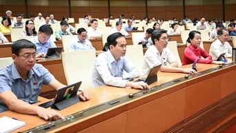 Doanh nghiệp thành lập từ 1-7 phải công bố thông tin chủ sở hữu hưởng lợi