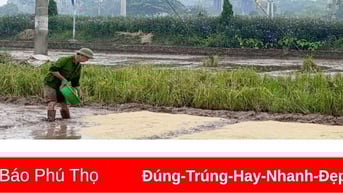 Hoàn thành thu hoạch vụ Xuân