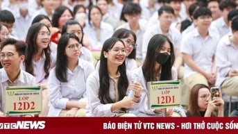 Học ngành Kế toán có lo bị AI thay thế trong tương lai?