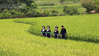 Sắc màu no ấm ở thung lũng bản Sinh