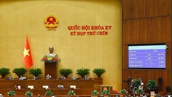 Quốc hội thống nhất giảm 2% thuế VAT, áp dụng đến hết năm 2026