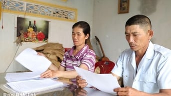 85 bao lúa "hóa bùn" vì bị ngăn cản, không cho vận chuyển (!?)
