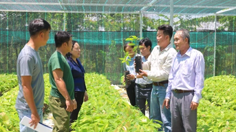 Tăng cường hiệu quả hoạt động của kinh tế tập thể