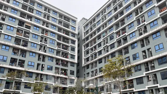 Doanh nghiệp Nhà nước nên hướng vào làm nhà ở giá rẻ