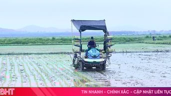Chậm thời vụ, sản xuất hè thu tiềm ẩn rủi ro