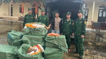 Bắt giữ hơn 1,1 tấn trứng gà non không rõ nguồn gốc tại Quảng Ninh