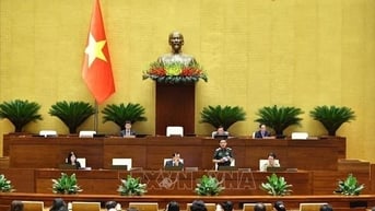 Ngày 17/6, Quốc hội thảo luận về kế hoạch phát triển kinh tế xã hội và ngân sách nhà nước