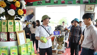 Huyện Thường Tín (TP Hà Nội) đạt chuẩn nông thôn mới nâng cao