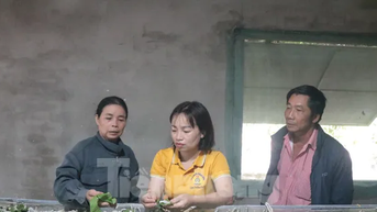 Đa cây, đa con giúp bà con vùng sâu phát triển kinh tế