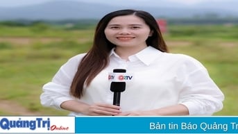 Những “bông hồng” cầm bút