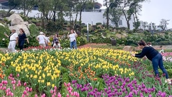 Tây Ninh đón 3,2 triệu khách du lịch, vượt 2.300 tỉ đồng trong 5 tháng