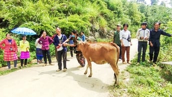 Phát triển bền vững vùng đồng bào dân tộc thiểu số và miền núi - Cơ hội đón vận hội mới - Bài 1 - Báo Cao Bằng điện tử