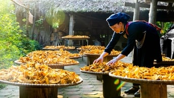 Người phụ nữ Tày 20 năm bảo tồn văn hoá truyền thống, làm du lịch cộng đồng