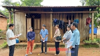 Nhà báo không chuyên