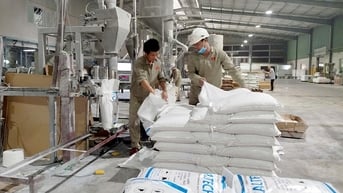 Công nghiệp tăng trưởng hơn 10%, chế biến chế tạo dẫn đầu