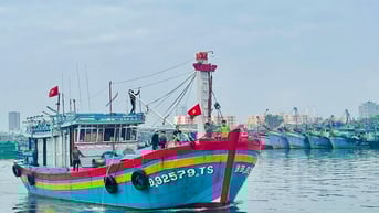 Đà Nẵng siết chặt quản lý 147 tàu cá chưa đủ điều kiện hoạt động