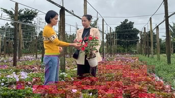 Hoàn thành sứ mệnh một nghị quyết