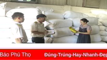 Ngành Thuế đẩy mạnh tuyên truyền, đồng hành cùng hộ kinh doanh