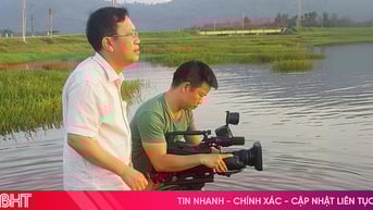 Trưởng thành từ các cuộc liên hoan