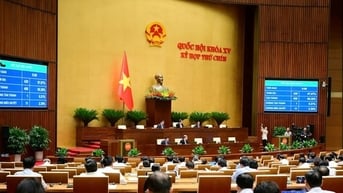 Các biện pháp xử lý hàng hóa không bảo đảm điều kiện xuất khẩu