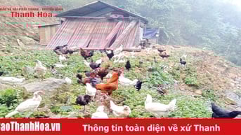 Người Mông làm sản phẩm OCOP