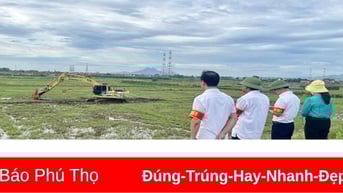 Hoàn tất giải phóng mặt bằng Dự án Khu dân cư nông thôn xã Phùng Nguyên