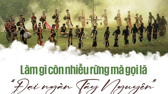 Làm gì còn nhiều rừng mà gọi là 'Đại ngàn Tây Nguyên'