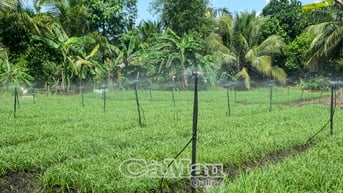 Niềm tin về nông nghiệp sạch