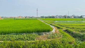 Hoàn thành bàn giao 441 mốc giới dự án đường sắt Lào Cai - Hà Nội - Hải Phòng qua Hải Dương