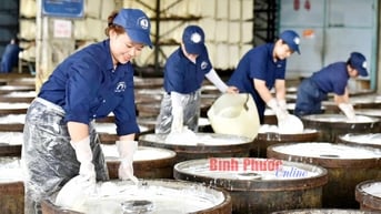 Ðảng bộ cao su Bình Long: Một nhiệm kỳ đổi mới, phát triển bền vững