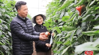 Nông nghiệp thông minh vì thế hệ tương lai