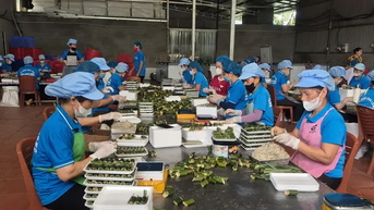 Khởi nghiệp với món ăn dân dã, vươn lên làm giàu, kiếm tiền tỷ mỗi năm