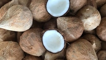 Nhập khẩu dừa chế biến tăng 11,3 lần