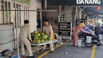 Quận Sơn Trà bảo đảm công tác quản lý trật tự xây dựng, trật tự đô thị