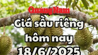 Giá sầu riêng hôm nay 18/6/2025: Sầu Ri6 miền Đông tăng, sầu Thái miền Tây giảm