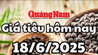 Cập nhật giá tiêu hôm nay 18/6/2025 mới nhất: Đà giảm yếu đi