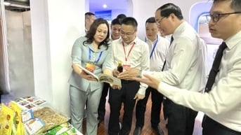 Tăng cường hội nhập kinh tế quốc tế