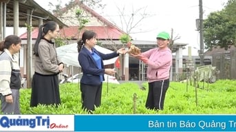 Phụ nữ khó khăn vươn lên làm kinh tế giỏi