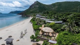 Hơn 30.000 cá thể rùa biển được thả về đại dương tại Côn Đảo
