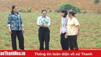 Phòng, chống bệnh khảm lá sắn