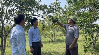 Sẵn sàng cho tổng điều tra nông nghiệp, nông thôn