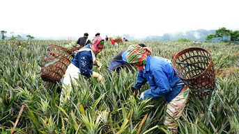 Học và làm theo Bác bằng nhiều mô hình sáng tạo