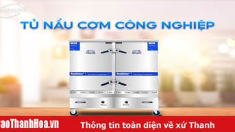 Tủ hấp cơm công nghiệp Fushimavina - linh hoạt, lý tưởng cho các bếp ăn tập thể