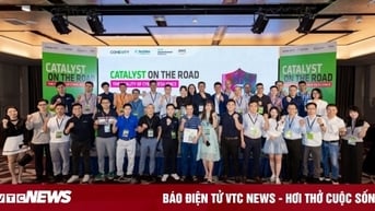 Chiến lược toàn diện giúp doanh nghiệp phục hồi sau các cuộc tấn công mạng