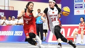 Thể thao Việt Nam đối mặt nhiều thách thức tại SEA Games 33