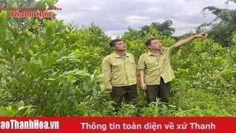 Trạm trưởng 20 năm thầm lặng giữ rừng