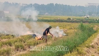 Lợi ít, hại nhiều từ việc đốt rơm, rạ